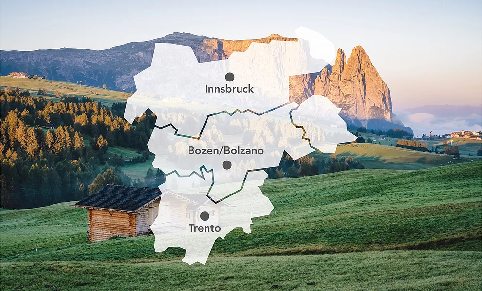 Regionaler Fokus, internationale Möglichkeiten
